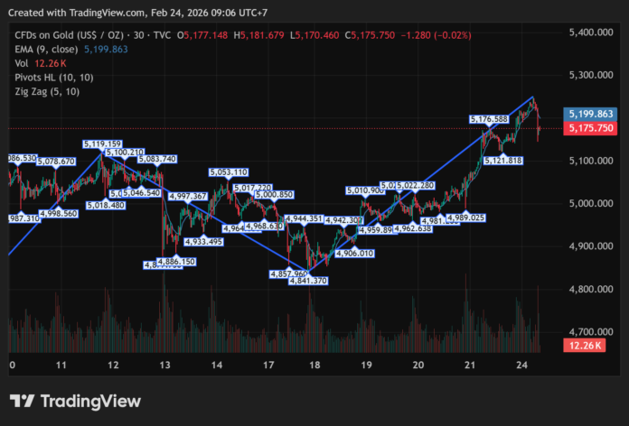 gold-price-analysis-24-feb-2026